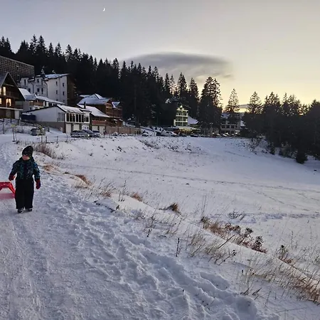 Daire Planinsko Srce