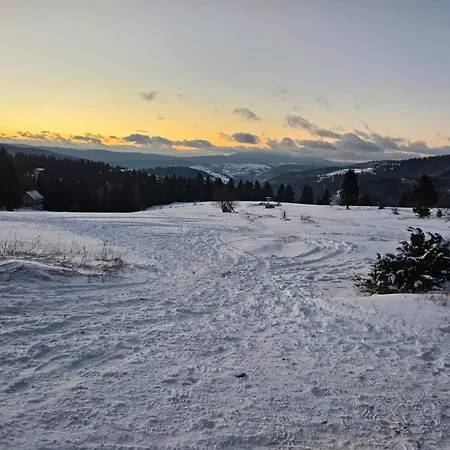 Planinsko Srce Daire *